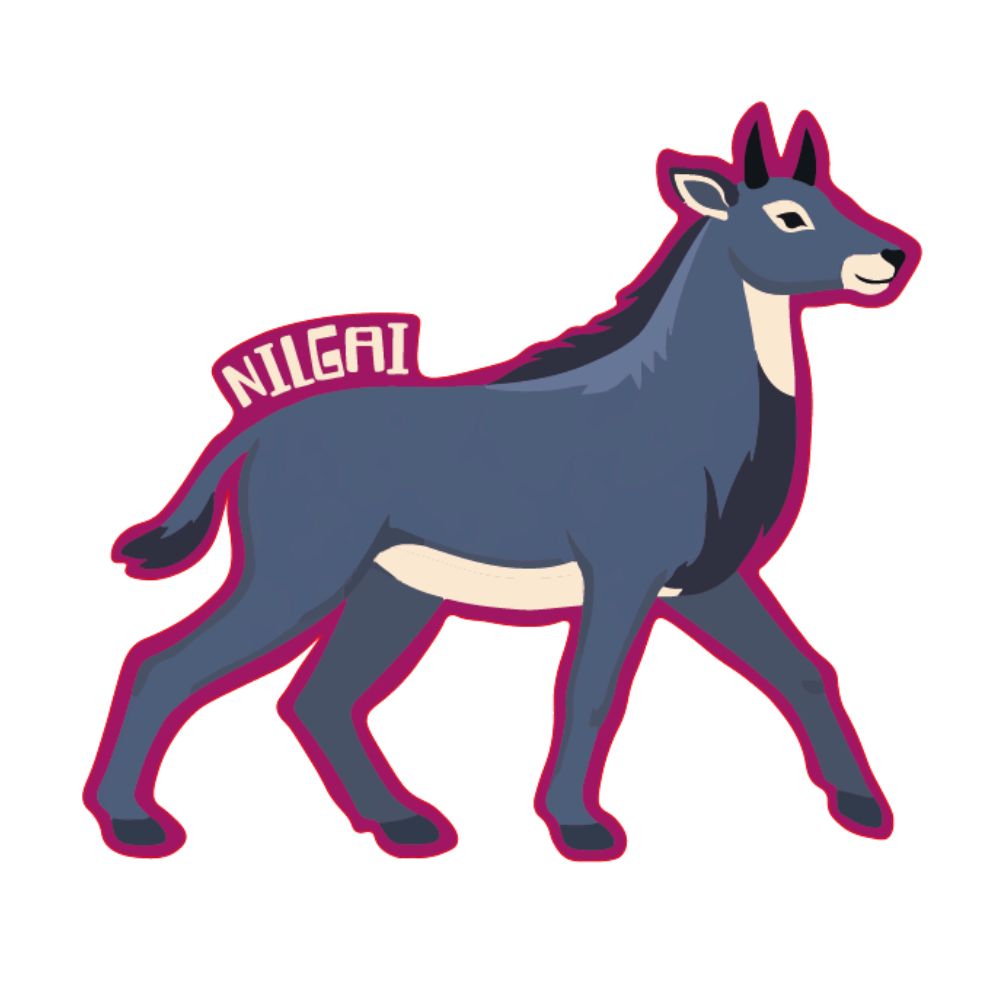 Nilgai Wildlife Fridge Magnet – Nature Souvenir
