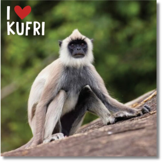 Kufri Wildlife Fridge Magnet – Shimla Souvenir Gift