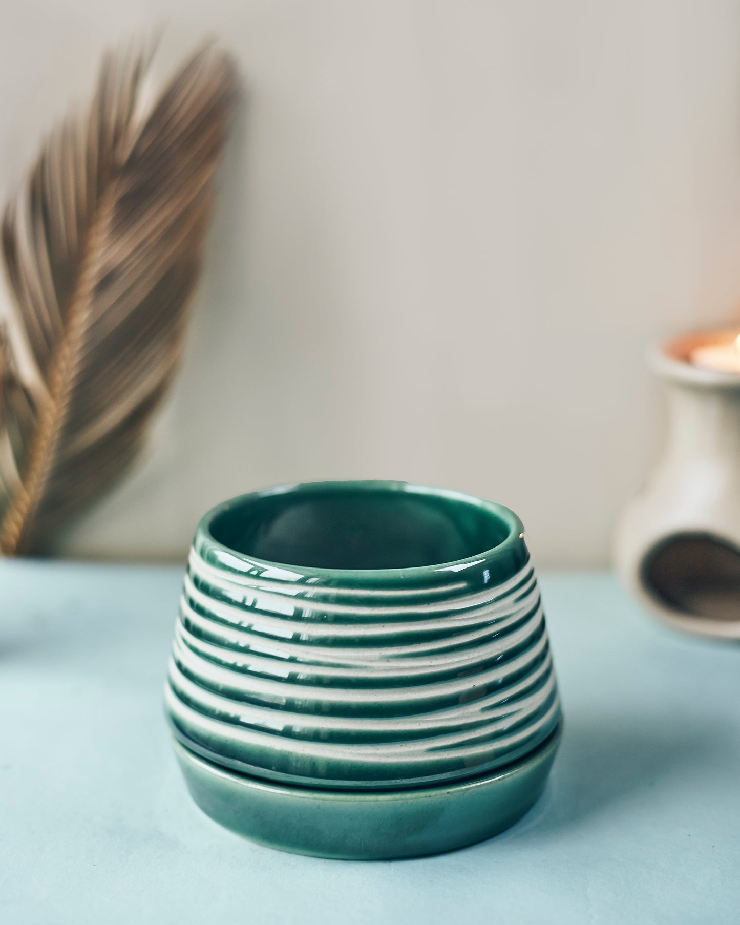 Ceramic Planter with Plate – Stylish Greenery Duo