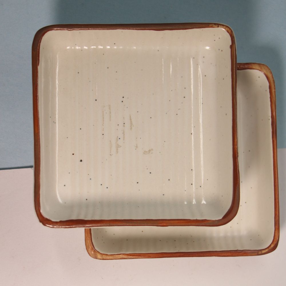 Rustic Handcrafted Square Ceramic Plates - 2 Piece Set