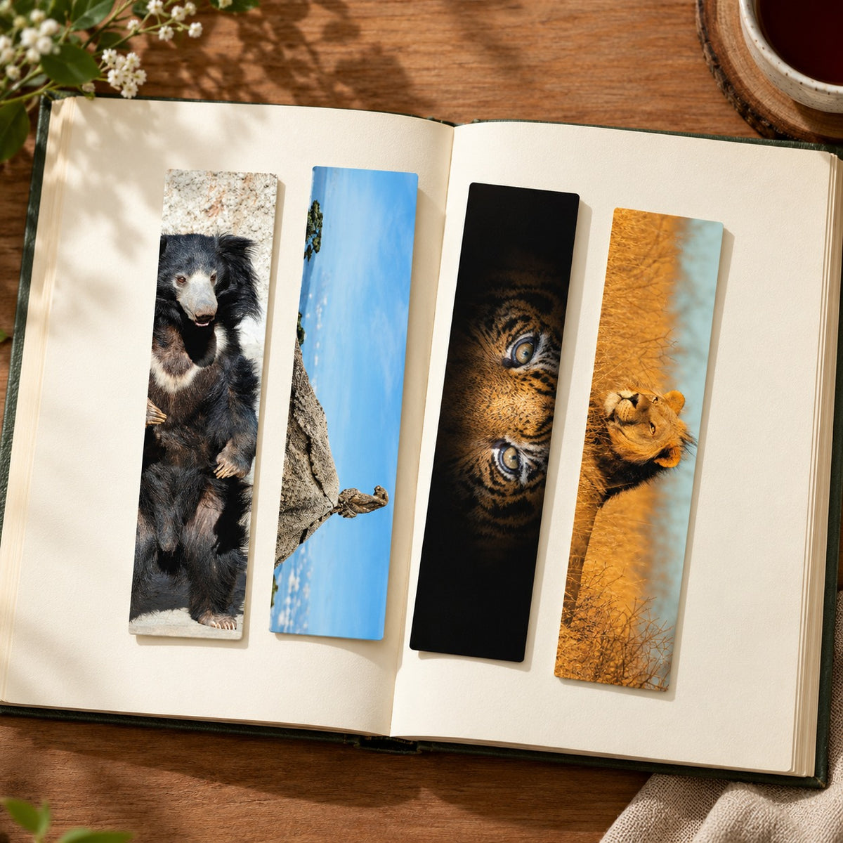 Rajgir Zoo Leopard Wildlife Bookmark – Souvenir Gift